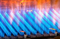 Symondsbury gas fired boilers